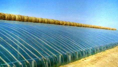 上半年我国塑料加工业总体运行平稳