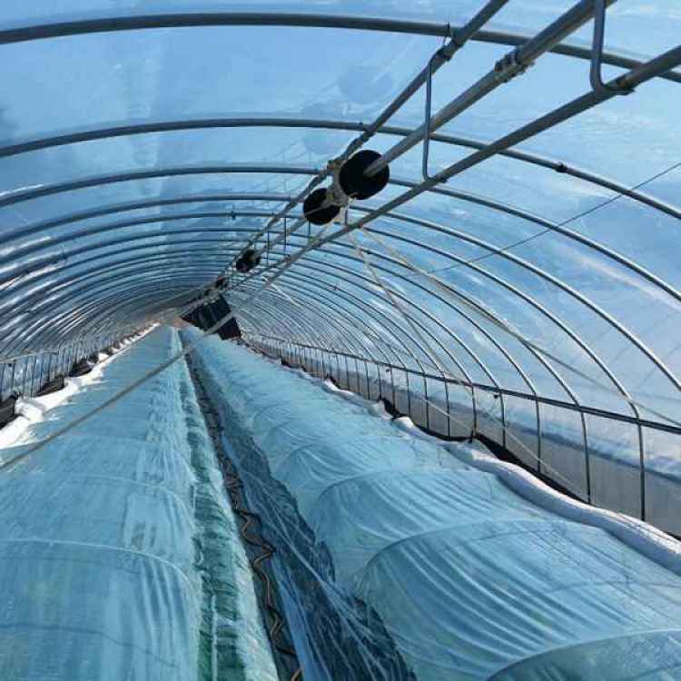 泰安无滴膜生产与塑料农膜加工 科技助农新引擎