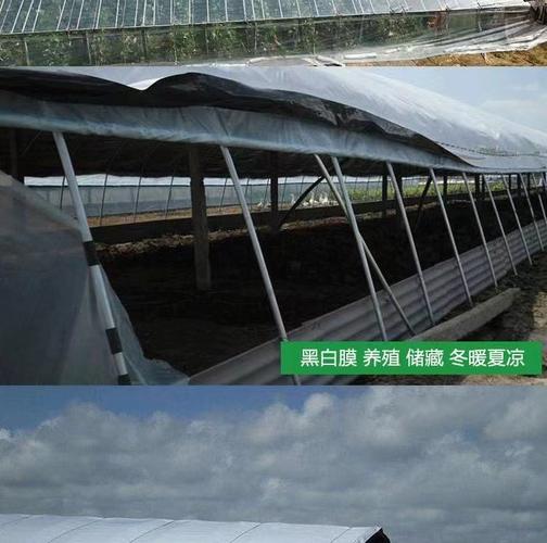 虹丰进口农用薄膜五层共挤po膜加厚防冻无滴膜高透光塑料大棚膜