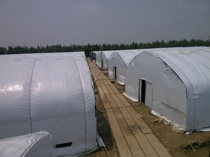 降温膜农用黑白膜 温室大棚降温新方案与塑料农膜加工技术解析